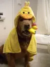 f61565913446feba053af7010695e41c.webp