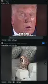 Screenshot 2024-09-11 at 04-25-12 Reddit - Dive into anything.webp