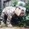 dog-face-soldier1-600x600.webp