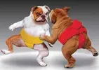 ee64612a4747870174585c15a446f9ce.webp