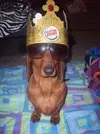 1701e0b2c1c0de82a9d7d5a187613b6a.webp
