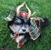 rosco_the_last_dog_samurai.webp