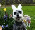 2cc0c6_cfa1be1cf12d1c95ec99a0c047941c10.webp