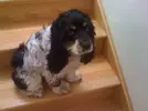 naughty_step1.webp