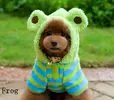 Free-shipping-dog-clothes-for-small-dogs-Kojima-lion-costume-dog-and-cat-Teddy-clothes-puppies.webp