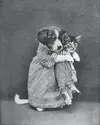 916bdacc48da257540f832058ebf2868.webp