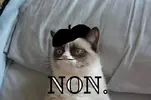 NO-No.webp