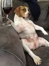 tumblr_mu9vkhAoCb1r1k6d5o1_400.webp