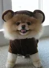 5b8e0dbd0771c44dcb9790adcaefe2ee.webp