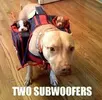 two-subwoofers-36808.webp