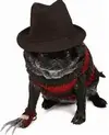 upload_2016-8-25_16-13-34.webp