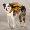 petsmart-halloween-dogs0232.webp