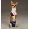 Cute-Dogs-in-Bikinis-6.webp