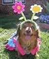 images.webp