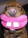 upload_2016-8-27_12-10-35.webp