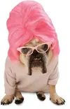 crazy-dog-costume-ideas-15.webp