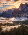 image.webp image.webp