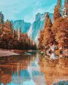 image.webp image.webp