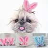 6-Pcs-lot-Pet-font-b-Dog-b-font-Grooming-Accessories-Clips-For-font-b-Dogs.webp