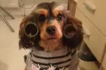 Lou-ORiley.webp
