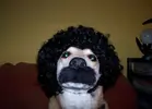88d68c4cdaadaf453f8812ff37050b16.webp