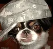 upload_2016-8-28_13-20-14.webp