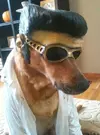 tumblr_inline_o6z4i6lHGx1tqtygu_500.webp
