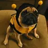 quince-honey-farm.webp