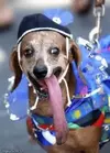 upload_2016-8-31_18-37-57.webp