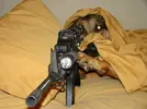 img-sniper_dog.webp