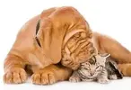 upload_2016-9-3_11-45-37.webp