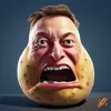1730326948900.webp