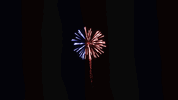 0c3ba277257770fc3270ac872bdba8e8.gif