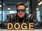 DOGE.webp