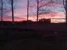 1731680221962.webp
