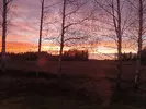 1731679871206.webp