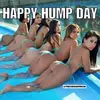 Hump Day.webp