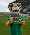 images-4.webp