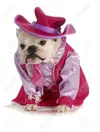 image.webp