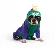 silly-dogs-it-s-fun-to-play-doggie-dress-up-8.webp