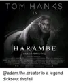 tom-hanks-c-harambe-dicks-out-this-fall-warner-bros-3298551.webp