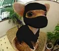 5525dd0222d99b9c7862f2ff65f16c16.webp