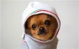 upload_2016-9-9_0-12-24.webp