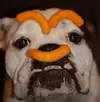 upload_2016-9-9_10-45-37.webp