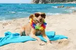 upload_2016-9-9_21-33-11.webp