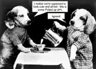 puppy-dog-tea-party.webp