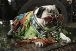 upload_2016-9-16_14-39-52.webp