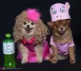 honey_boo_boo_n_glitzy.webp