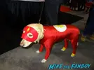 Flash-dog.webp