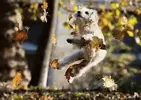 upload_2016-9-22_18-42-8.webp